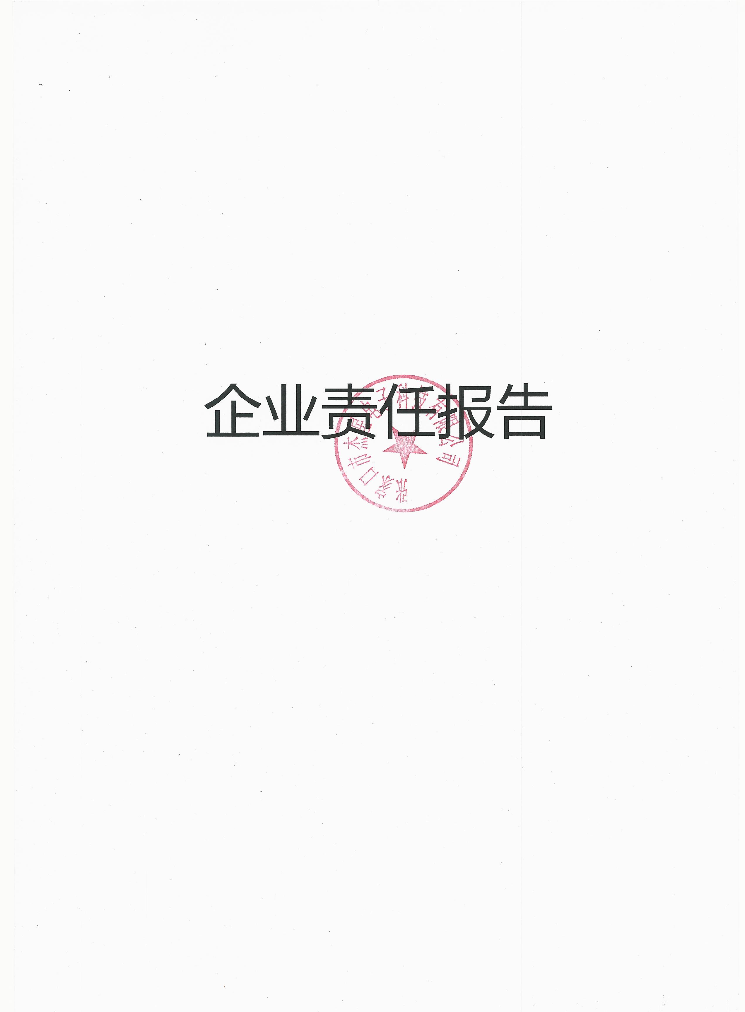 2019年度企业责任报告